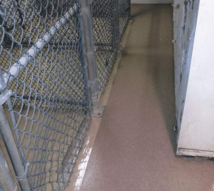veterinary-epoxy-flooring