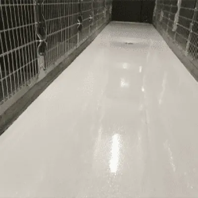 commercial-service-animal-care